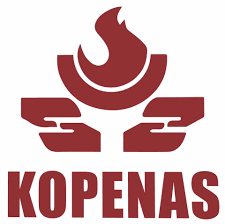 logo kopenas